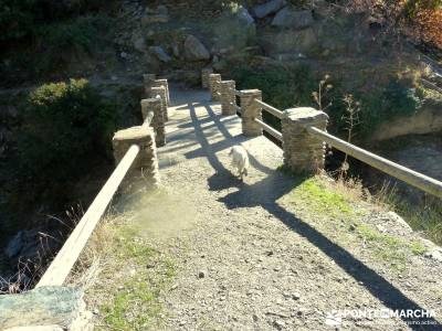 Alpujarras Granadinas [Puente de Reyes] club senderista murcia navarra senderismo rutas a caballo en